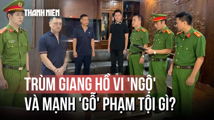 Thông tin mới về vụ án liên quan trùm giang hồ Vi 'ngộ' và Mạnh 'gỗ'
