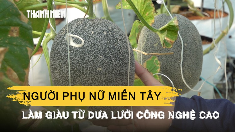 Người phụ nữ miền Tây làm giàu từ dưa lưới công nghệ cao