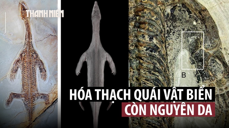Bất ngờ hóa thạch 240 triệu năm tuổi còn nguyên da