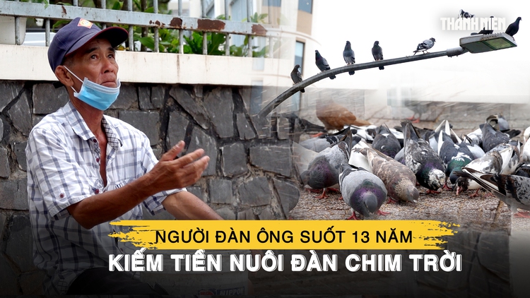 Người đàn ông miền Tây suốt 13 năm kiếm tiền nuôi đàn chim trời, coi như con ruột