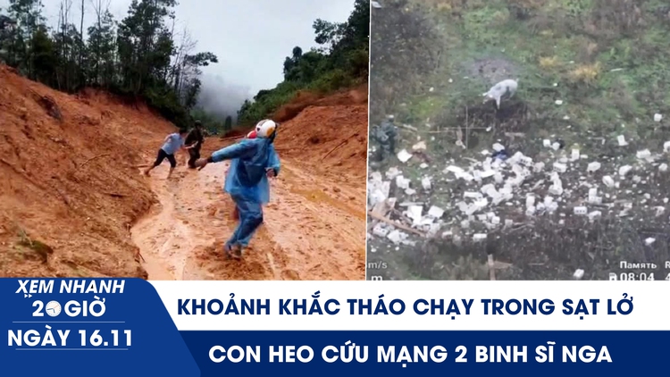 Xem nhanh 20h ngày 16.11: Khoảnh khắc tháo chạy trong sạt lở kinh hoàng ở Đà Nẵng | Con heo cứu mạng 2 binh sĩ Nga