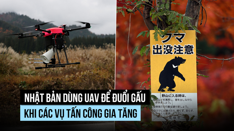 UAV sủa, bắn pháo hoa để đuổi gấu tại Nhật Bản