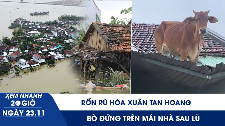 Xem nhanh 20h ngày 23.11: Rốn rũ Hòa Xuân tan hoang | Xúc động hình ảnh bò đứng trên mái nhà sau lũ
