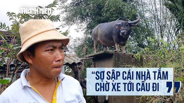 Hy hữu: Con trâu chênh vênh trên nóc nhà tắm, sống sót qua lũ dữ thế nào?