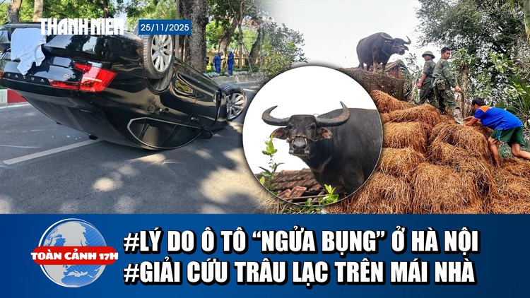Toàn cảnh 17h: Bất ngờ lý do ô tô ‘ngửa bụng’ ở Hà Nội | Bộ đội vất vả cứu trâu đứng trên mái nhà
