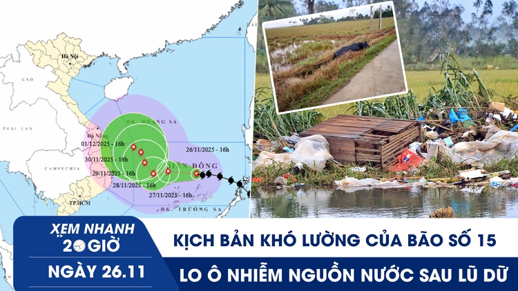 Xem nhanh 20h ngày 26.11: Kịch bản khó lường của bão số 15 | Cánh đồng bốc mùi sau lũ dữ, dân lo ô nhiễm nước