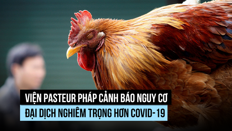 Viện Pasteur Pháp cảnh báo nguy cơ đại dịch đáng sợ hơn Covid-19