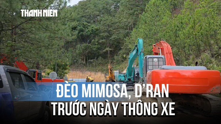 Đèo Mimosa, D’Ran trước ngày thông xe hiện trạng ra sao?