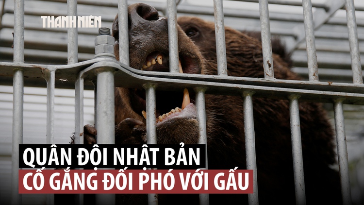 Quân đội Nhật Bản ra tay trấn áp gấu sau làn sóng tấn công kỷ lục