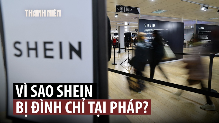 Pháp đình chỉ Shein vì bán búp bê tình dục và vũ khí