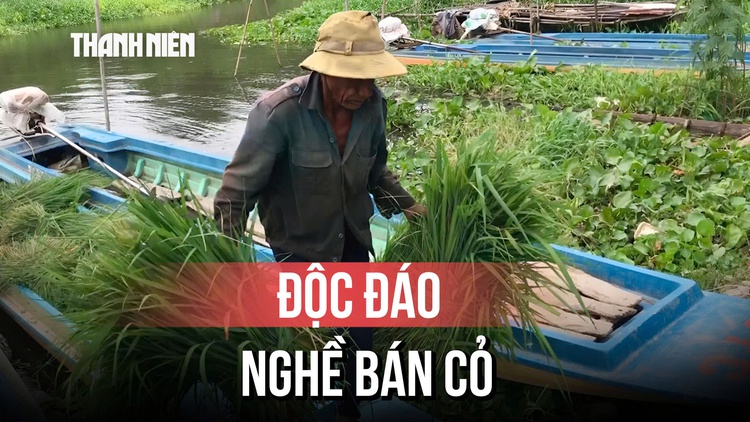 Độc đáo chợ cỏ Ô Lâm, nơi nuôi sống hàng trăm hộ dân vùng Bảy Núi