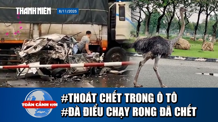 Toàn cảnh 17h: Thoát chết thần kỳ trong chiếc ô tô bẹp dúm | Con đà điểu chạy rong ở TP.HCM đã chết