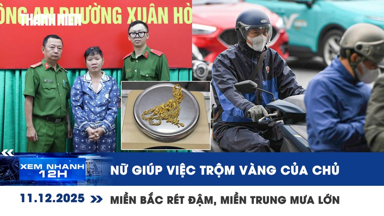Xem nhanh 12h: Nữ giúp việc trộm vàng của chủ | Miền Bắc rét đậm, miền Trung mưa lớn diện rộng