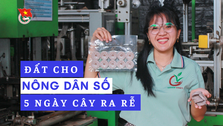 Cùng sống xanh số 138: Xóa rác nhựa trên vườn, cô gái làm viên nén xơ dừa phân hủy 100%