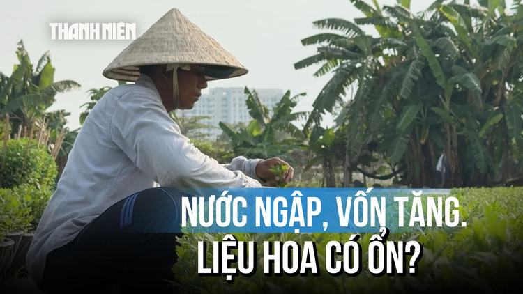 Tết Bính Ngọ 2026: Nhà vườn TP.HCM tất bật chờ thị trường khởi động