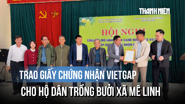 Trao giấy chứng nhận VietGAP cho hộ dân trồng bưởi xã Mê Linh