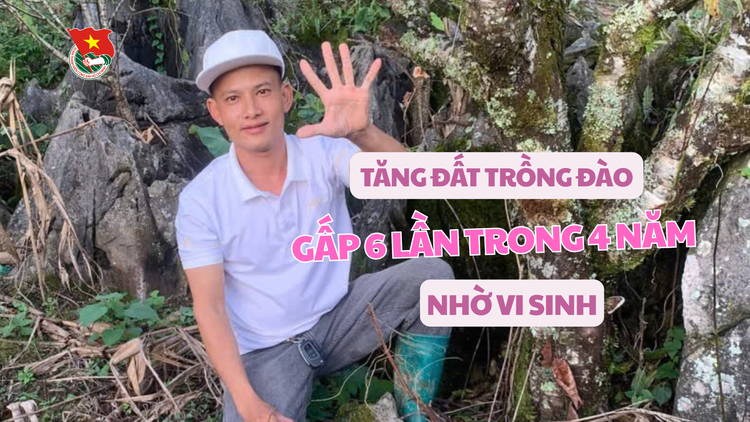 Cùng sống xanh số 139: Đang làm điện lạnh rẽ sang trồng đào, tăng diện tích trồng gấp 6 lần nhờ dùng vi sinh chăm cây