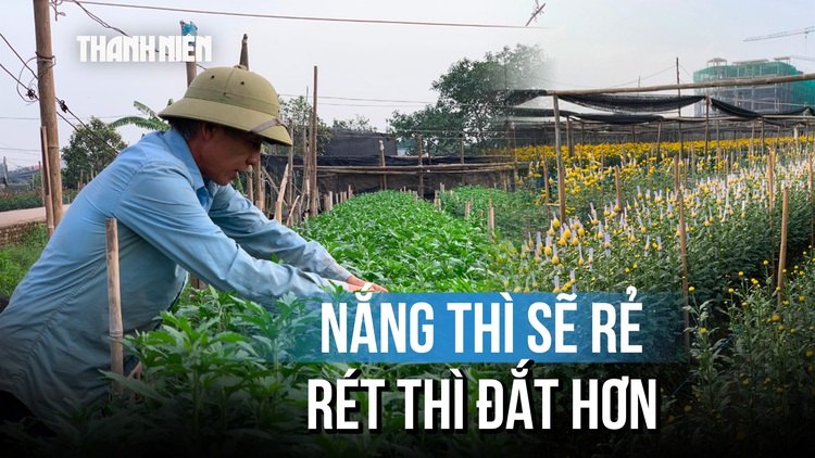 Bỏ qua thiệt hại tiền tỷ, các làng hoa sẵn sàng cho Tết Nguyên đán
