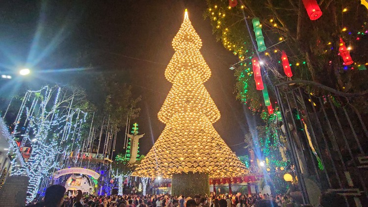 Cây thông nón lá ở Đồng Nai sáng đèn, mỗi đêm đón hàng ngàn người chiêm ngưỡng