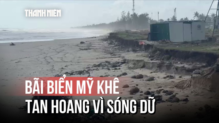 Bãi biển đẹp nhất Quảng Ngãi tan hoang: Sóng dữ 'nuốt' rừng dương, đe dọa hàng quán