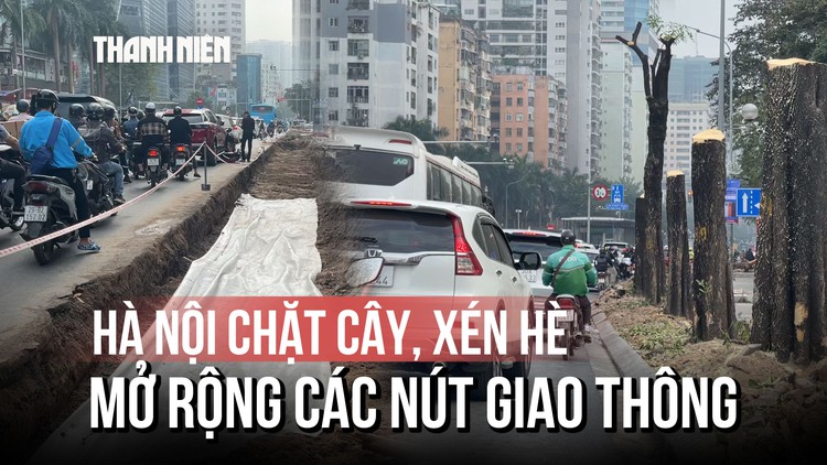 Hà Nội chặt cây, xén hè: người dân vừa mừng vừa lo