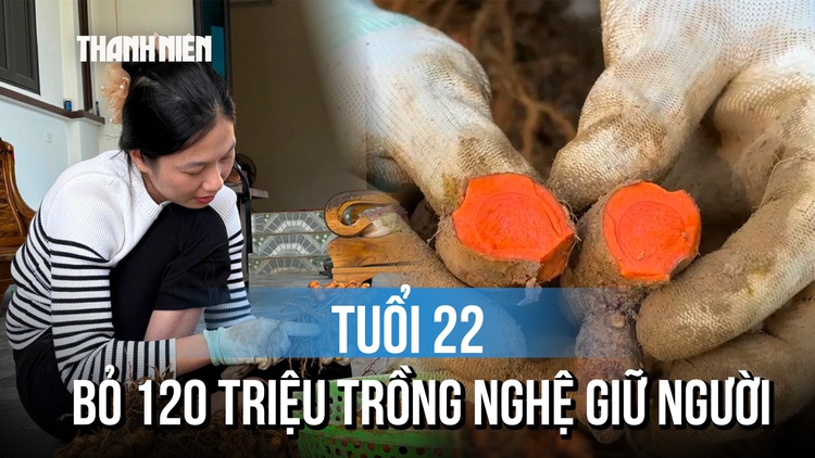 Bỏ phố về quê, cô gái trẻ dành 120 triệu đồng biến núi đá thành vựa nghệ