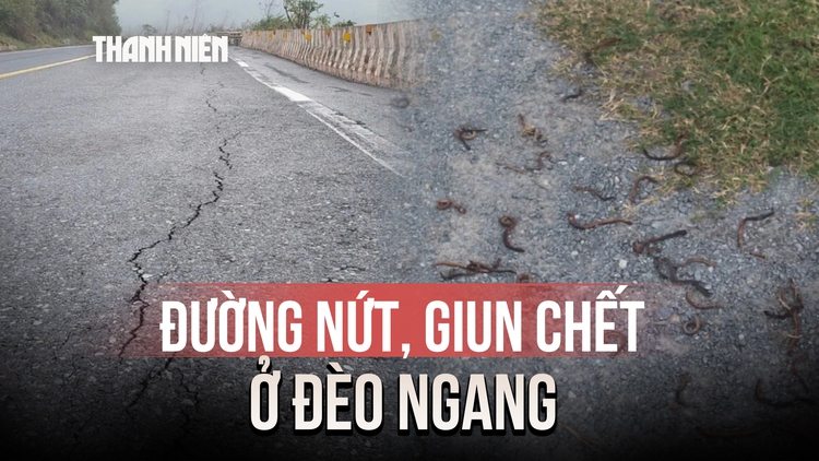 Bất an khi đường nứt, giun chết hàng loạt ở Đèo Ngang