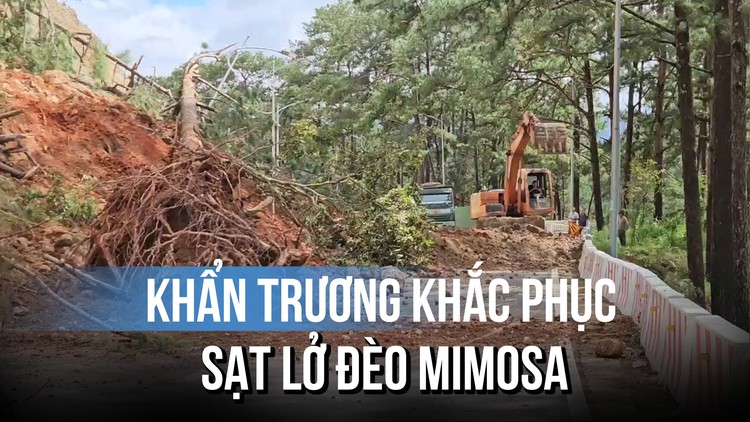 Nỗ lực khắc phục xong sạt lở đèo Mimosa trong ngày 4.12