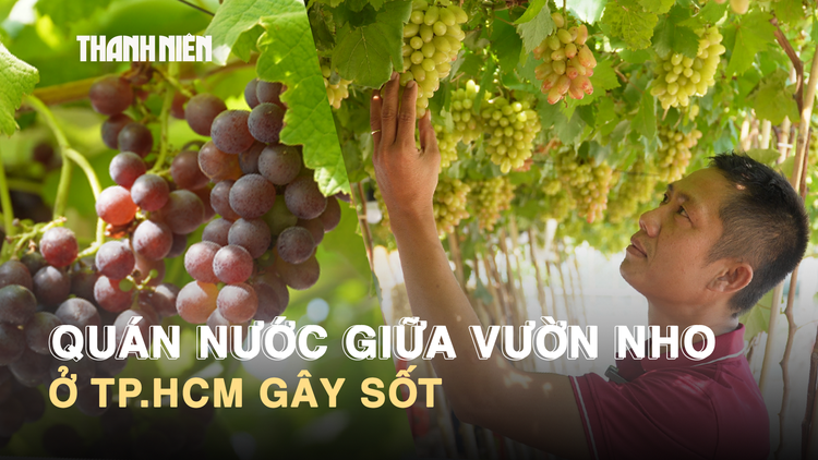 Quán nước giữa vườn nho ở TP.HCM gây sốt