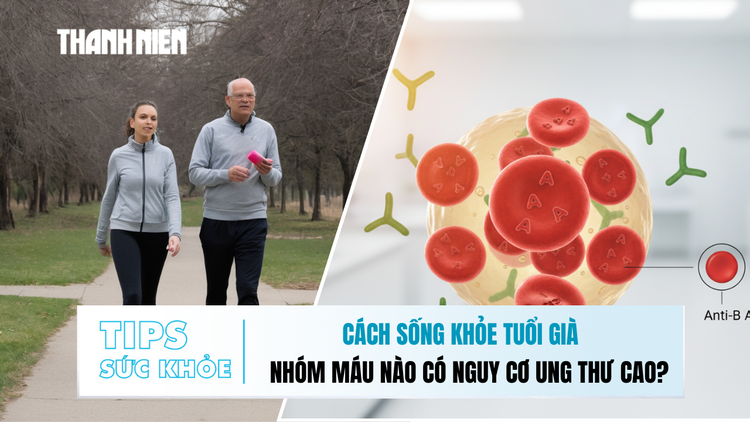 Bản tin sức khỏe ngày 8.12: Cách sống khỏe tuổi già | Nhóm máu nào có nguy cơ ung thư cao?