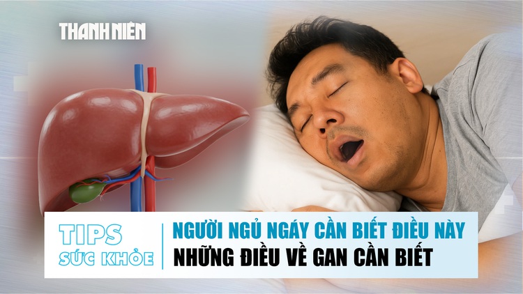 Bản tin sức ngày khỏe 9.12: Người ngủ ngáy cần biết điều này | Những điều về gan cần biết