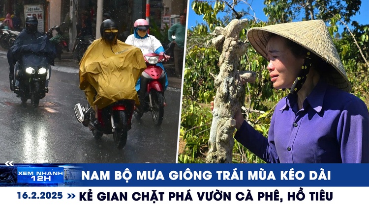 Xem nhanh 12h: Nam bộ mưa giông trái mùa kéo dài | Khóc ngất vì kẻ gian chặt phá vườn cây