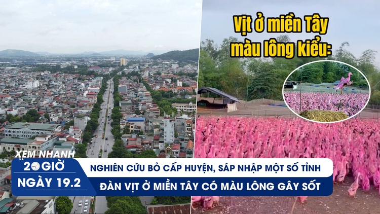 Xem nhanh 20h ngày 19.2: Nghiên cứu bỏ cấp huyện, sáp nhập một số tỉnh | Thực hư đàn vịt màu hồng gây sốt