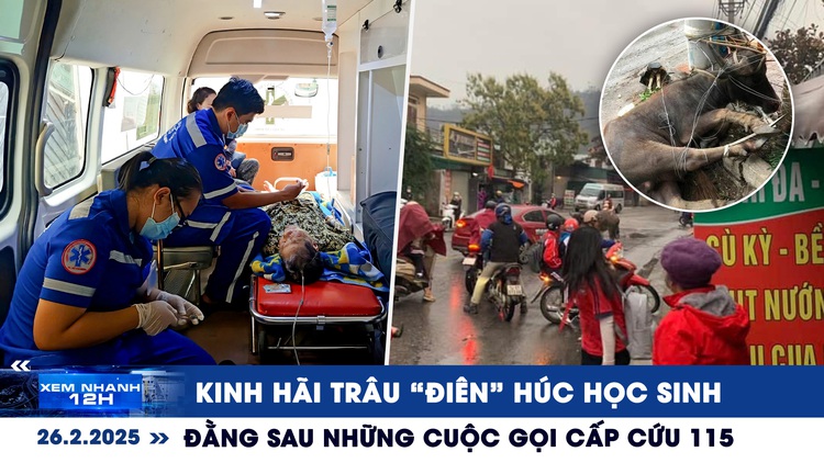 Xem nhanh 12h: Kinh hãi trâu 'điên' húc học sinh | Đằng sau những cuộc gọi cấp cứu 115