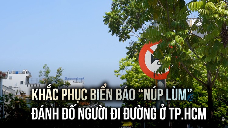 Hàng loạt biển báo 'lấp ló' làm khó người đi đường, Sở GTVT TP.HCM nói gì?