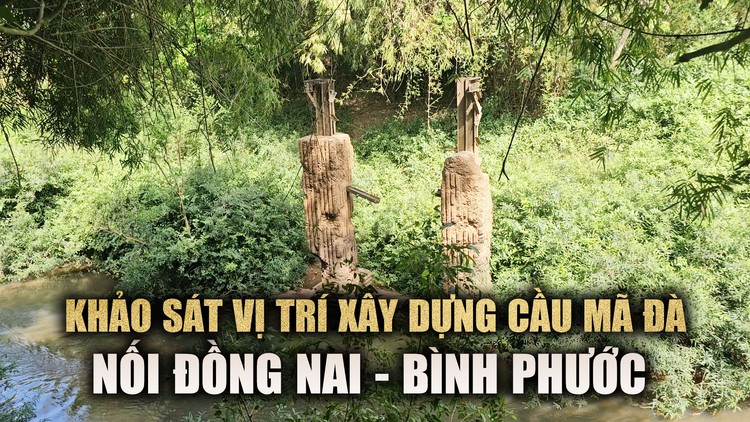 Cận cảnh vết tích cầu Mã Đà nối 2 tỉnh Đồng Nai - Bình Phước