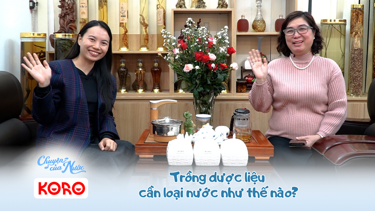 Chuyện của nước số 44: Trồng dược liệu cần loại nước như thế nào?