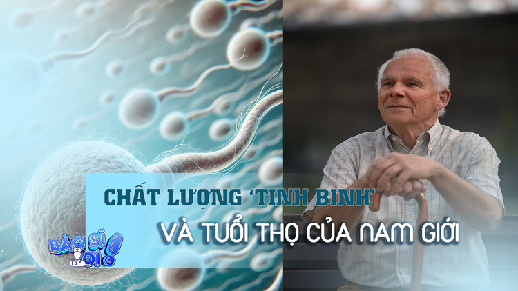 Bất ngờ về mối liên hệ giữa chất lượng ‘tinh binh’ và tuổi thọ nam giới