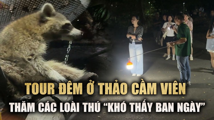 Khám phá tour tham quan thú chuyên hoạt động về đêm ở Thảo Cầm Viên