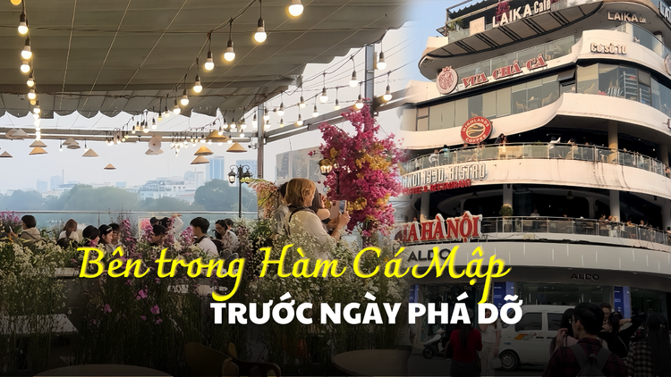 Khám phá tòa nhà Hàm Cá Mập sắp bị phá dỡ