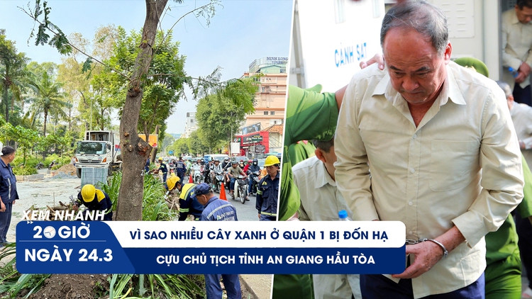 Xem nhanh 20h ngày 24.3:  Vì sao nhiều cây xanh ở quận 1 bị đốn hạ | Cựu Chủ tịch tỉnh An Giang hầu tòa