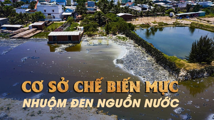 Bình Định: Người dân kêu trời vì hàng chục cơ sở chế biến mực gây ô nhiễm