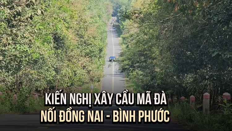 Đồng Nai kiến nghị xây cầu, đường xuyên rừng Mã Đà nối tỉnh Bình Phước