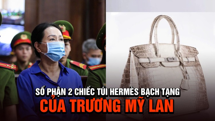 Số phận 2 túi Hermes bạch tạng của Trương Mỹ Lan sau phiên tòa phúc thẩm