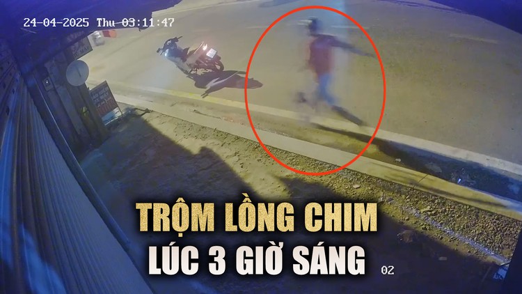 Đuổi bắt trộm lồng chim lúc 3 giờ sáng, chủ nhà bị té 'bầm dập'