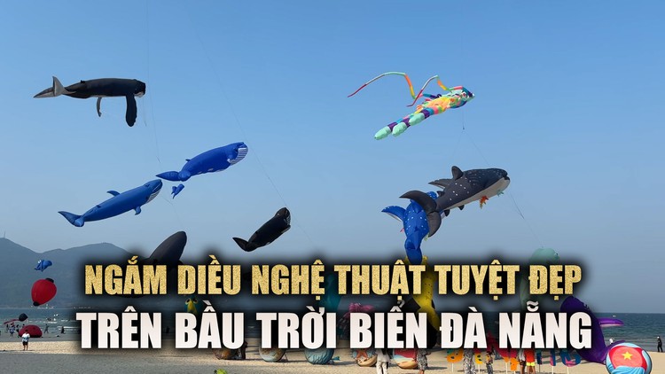 Ngắm diều nghệ thuật tuyệt đẹp trên bầu trời biển Đà Nẵng