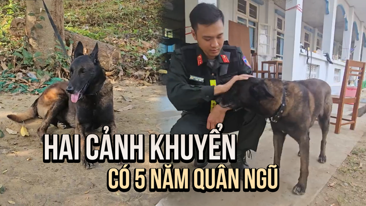 Hai chú cảnh khuyển có 5 năm tại ngũ tham gia cứu nạn tại Myanmar