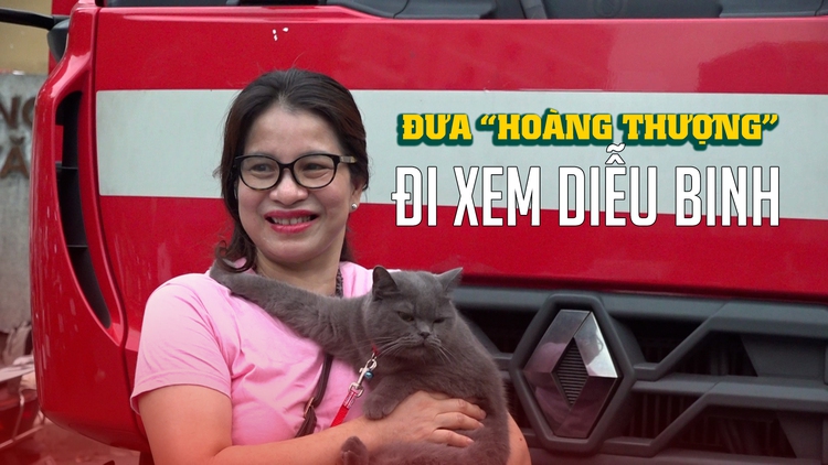 Người dân ‘ăn tranh thủ, ngủ khẩn trương’ để chờ xem diễu binh