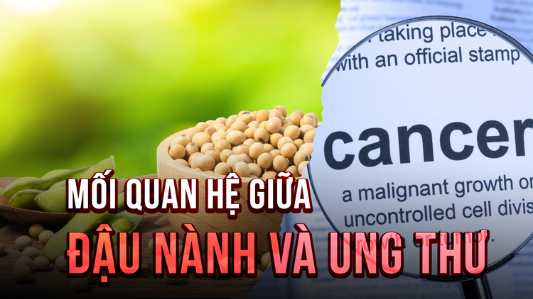 Đậu nành có phải là nguyên nhân gây ung thư?