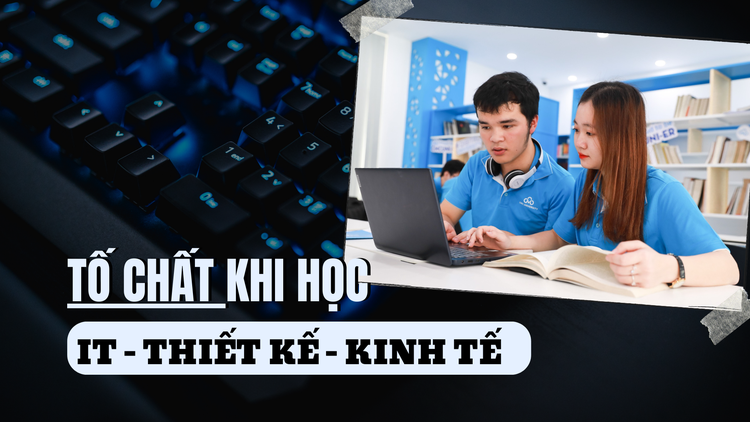 Các tố chất cần thiết khi theo học khối ngành IT - Thiết kế - Kinh tế